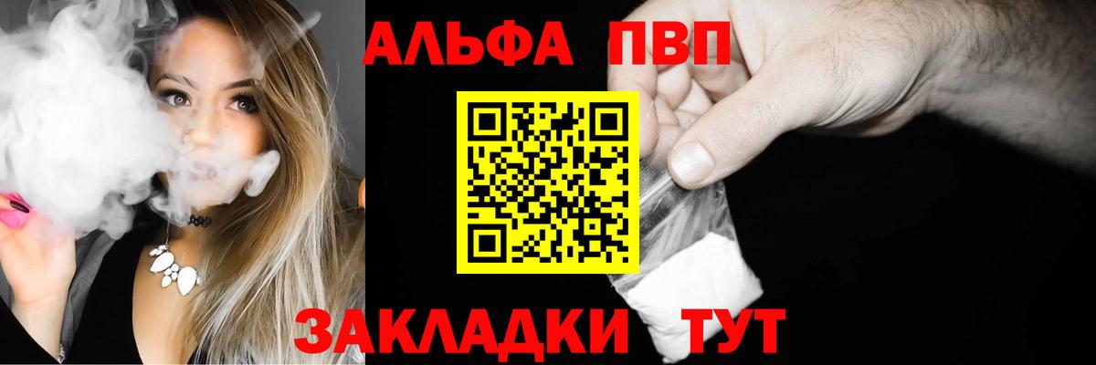 Альфа ПВП СК КРИС Шахты